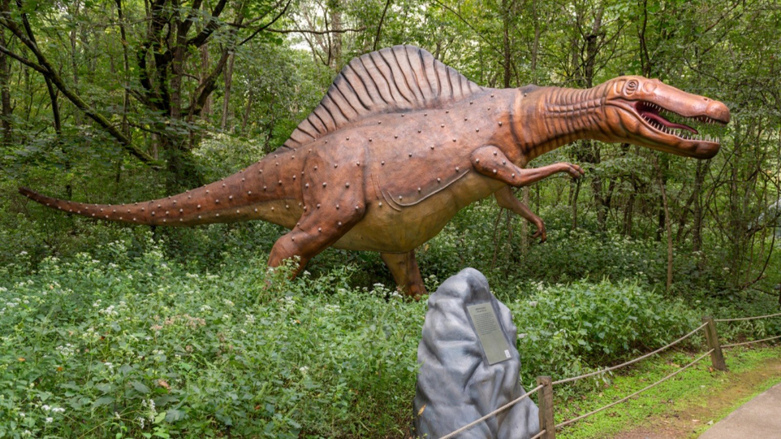 <p>Dinosaur World, in Cave City, is one of the most popular attractions in Kentucky. This amusement center has hundreds of life-sized dinosaurs and a dinosaur-themed children’s playground. The center welcomes dogs on leashes in all areas except the indoor museum. Dinosaur World has a 5,000-square-foot gift shop to buy dinosaur-themed artifacts, games, and toys.</p>