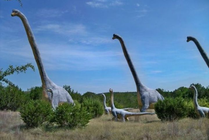 <p>Known as the “Dinosaur Capital of Texas,” the Glen Rose is where dinosaur tracks are preserved in the bed of the Paluxy River. Wade through the waters and study the footprints left behind by creatures that wandered this planet millions of years ago.</p>