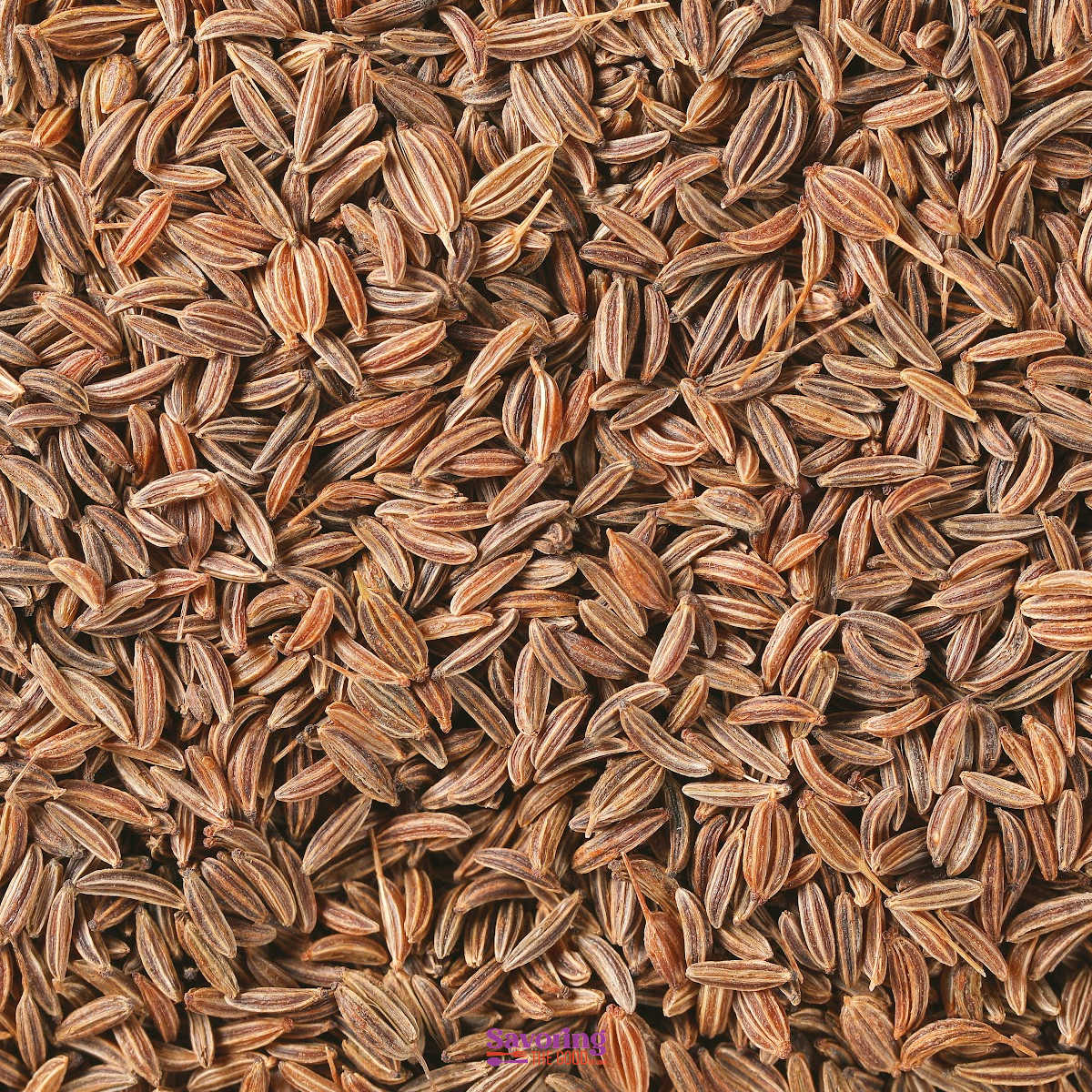 Caraway Seed Substitutes 🫙 Good Substitute For Caraway Seeds