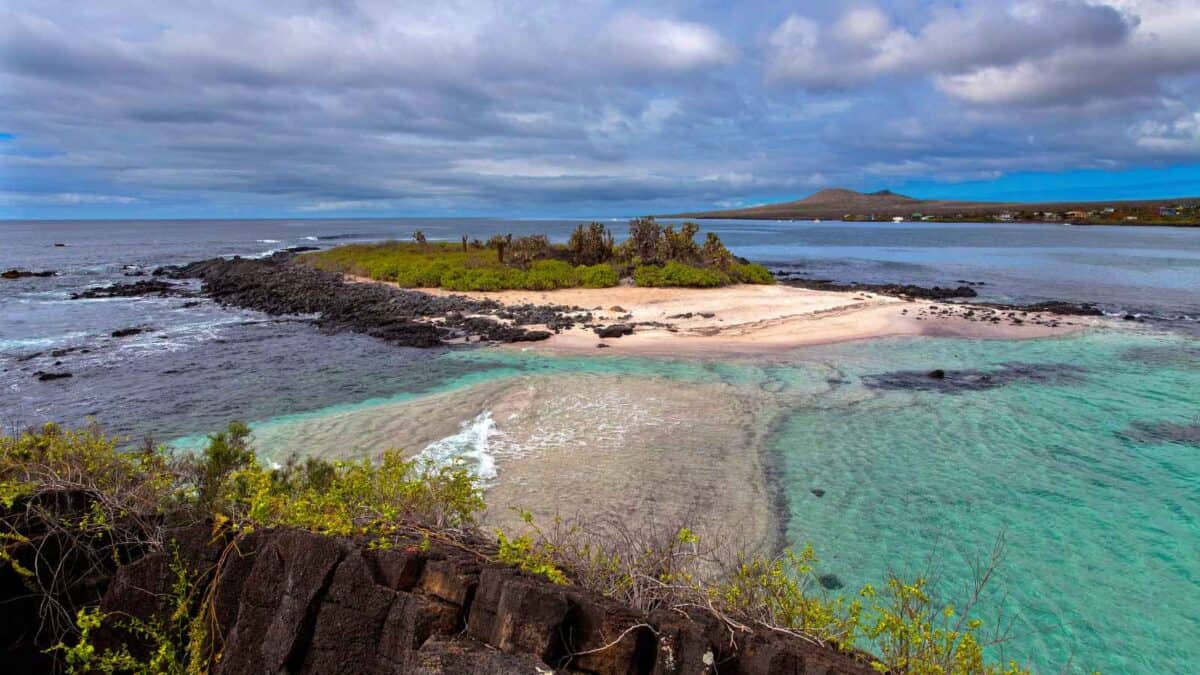 <p>This volcanic archipelago offers one-of-a-kind wildlife encounters, including snorkeling with playful sea lions, observing giant tortoises, and hiking across lava fields. </p><p>Each island offers a unique ecosystem with opportunities for kayaking, diving among hammerhead sharks, and exploring the Charles Darwin Research Station.</p>