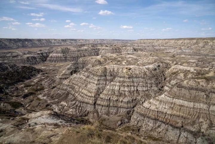 <p>Venture into the heart of the Drumheller Valley, often called the “Dinosaur Capital of the World.” Explore the hoodoos and canyons that dot the topography, and visit the most prominent dinosaur sculpture in Canada for a towering glimpse into the past.</p>