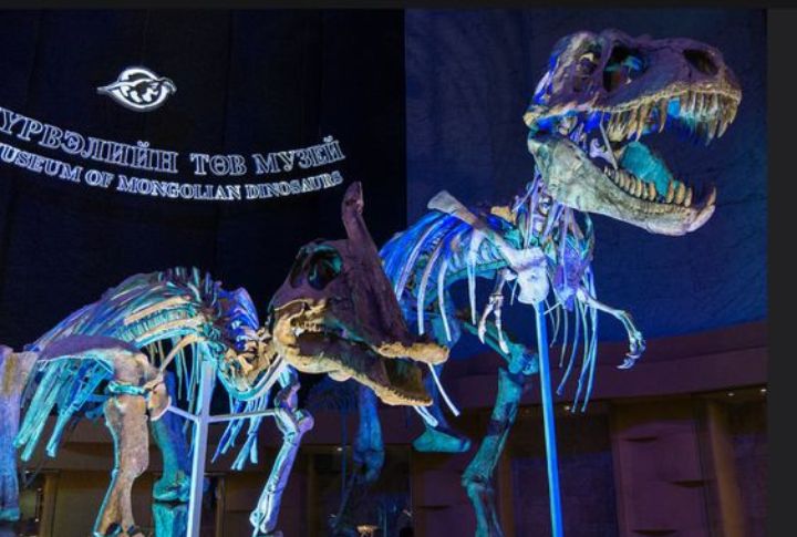 <p>Delve into Mongolia’s rich paleontological heritage at the Mongolia International Dinosaur Museum. Marvel at the expo’s impressive treasury of dinosaur fossils and learn about ongoing research expeditions in the Gobi Desert.</p>