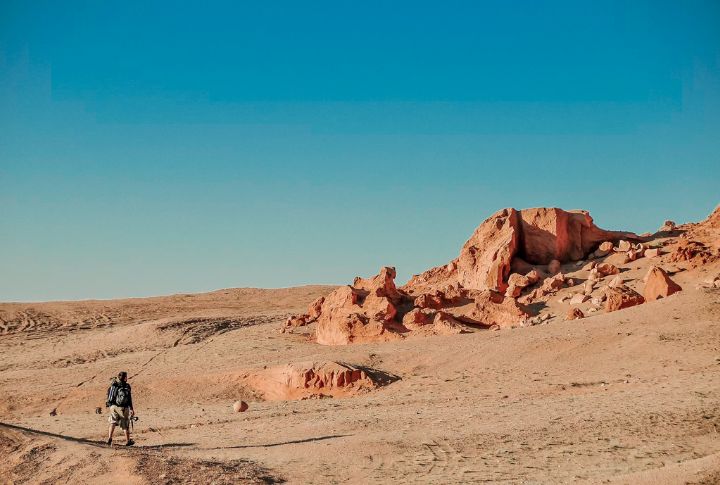 <p>If you want to see where fossilized dinosaur eggs and skeletons have been unearthed for centuries, traverse the vast expanse of the Gobi Desert. A fossil-hunting expedition awaits travelers led by local experts seeking the thrill of discovery in this remote wilderness firsthand.</p>