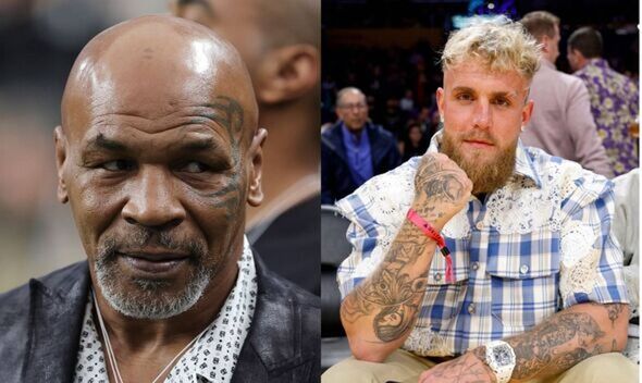 Mike Tyson Was Jake Paul S Second Choice Of Opponent For Money Spinning   BB1jPuzH.img