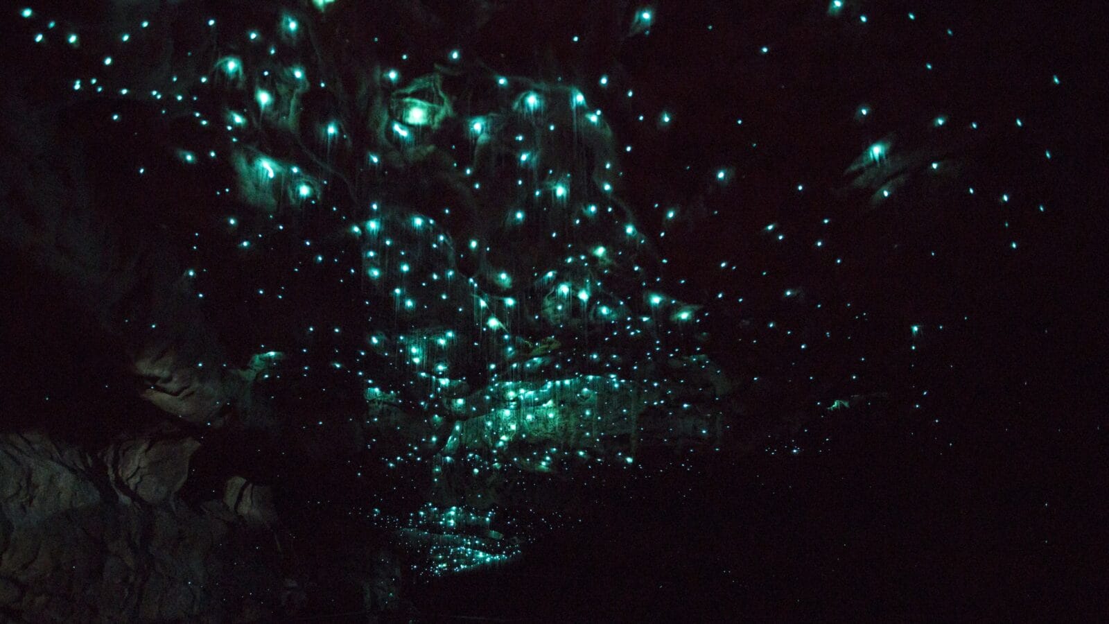 <p>Glowworms everywhere you look are one of the top reasons the cleverly named Waitomo ‘Glowworm’ Caves attract visitors worldwide. Located on New Zealand’s North Island, these magnificent caves are magical thanks to the presence of fluorescent fauna and fun activities like rafting.</p><p>As you descend into Waitomo caves via a spiral stair entrance, you’ll be met with a subterranean world like no other. With or without the cool-looking worms, the destination is a worthy contender that offers plenty of geological marvels like underground waterfalls.</p>