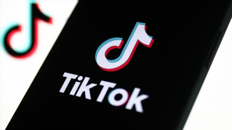 Twitter Users Unite to Prove Why TikTok Shouldn’t Get Banned