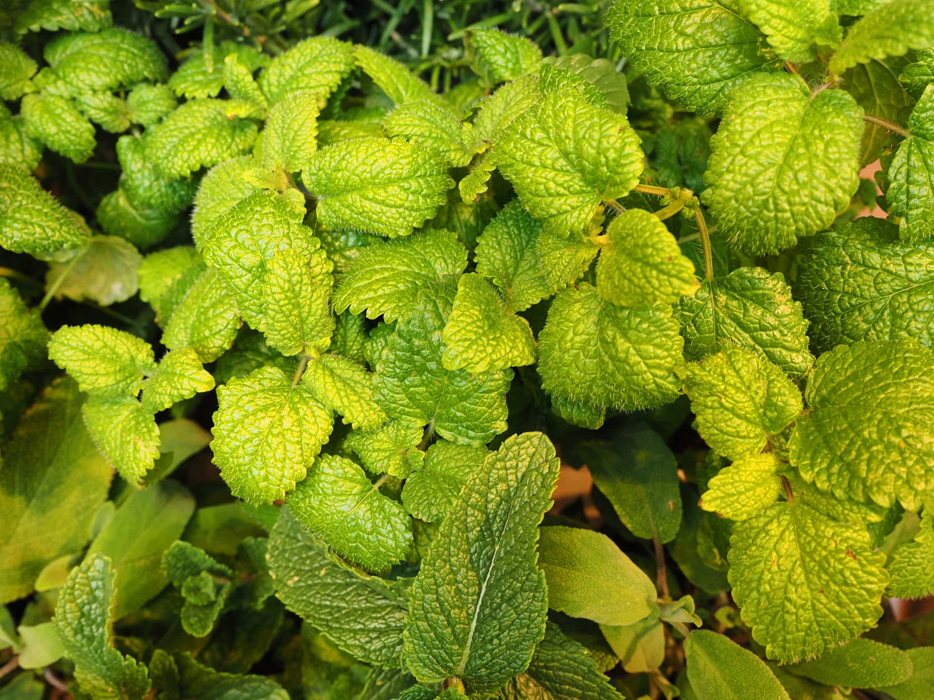 The best and worst foods for an upset stomach