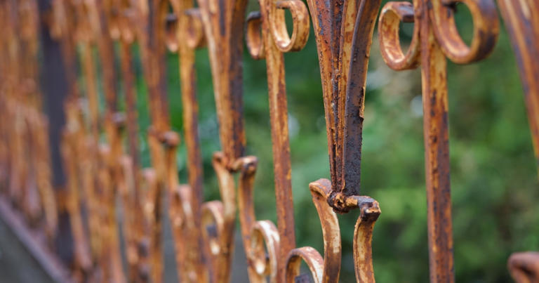 Keep Mosquitoes Away With This Simple Balcony Plant Addition