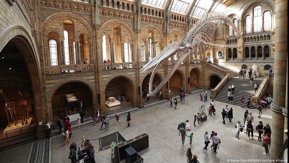 Admire the dinosaur and animal collection in South Kensington at the Natural History Museum (pictured) or go to the Science Museum to be inspired by human inventions and the Victoria and Albert Museum for exhibits on furniture, paintings, sculpture, metalwork and textiles. Art lovers should try the National Gallery, the Royal Academy and the Tate Britain or Tate Modern, to name a few.