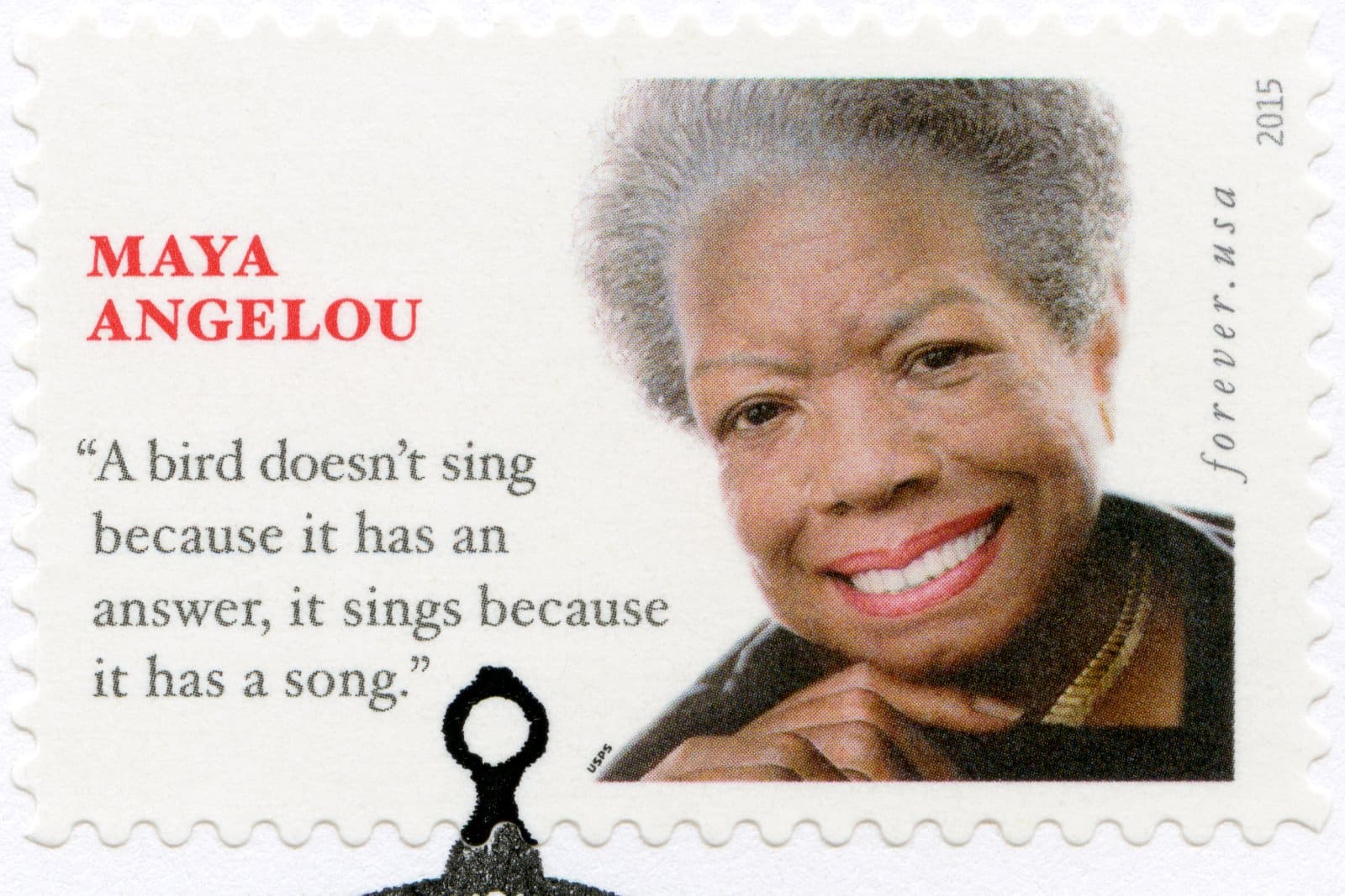 Image Credit: Shutterstock / Olga Popova <p><span>Through her poignant writings and powerful voice, Angelou celebrated Black culture and advocated for civil rights, leaving an indelible mark on literature and society.</span></p>