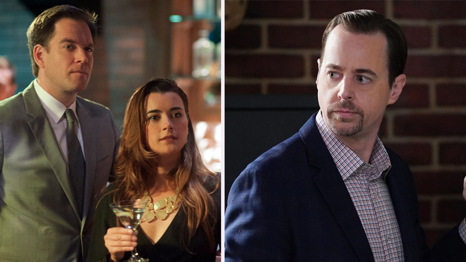 NCIS Star Sean Murray Talks Potential Crossover With Tony/Ziva Spin-off