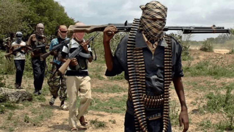 We’ll kill them in 20 days – Terrorists demand N1bn ransom for 286 ...