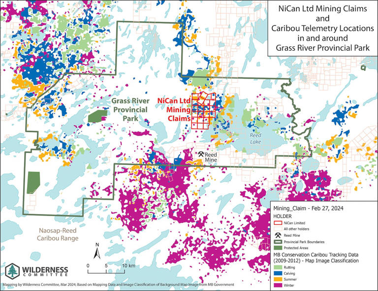 Mineral exploration in caribou habitat funded by Manitoba government