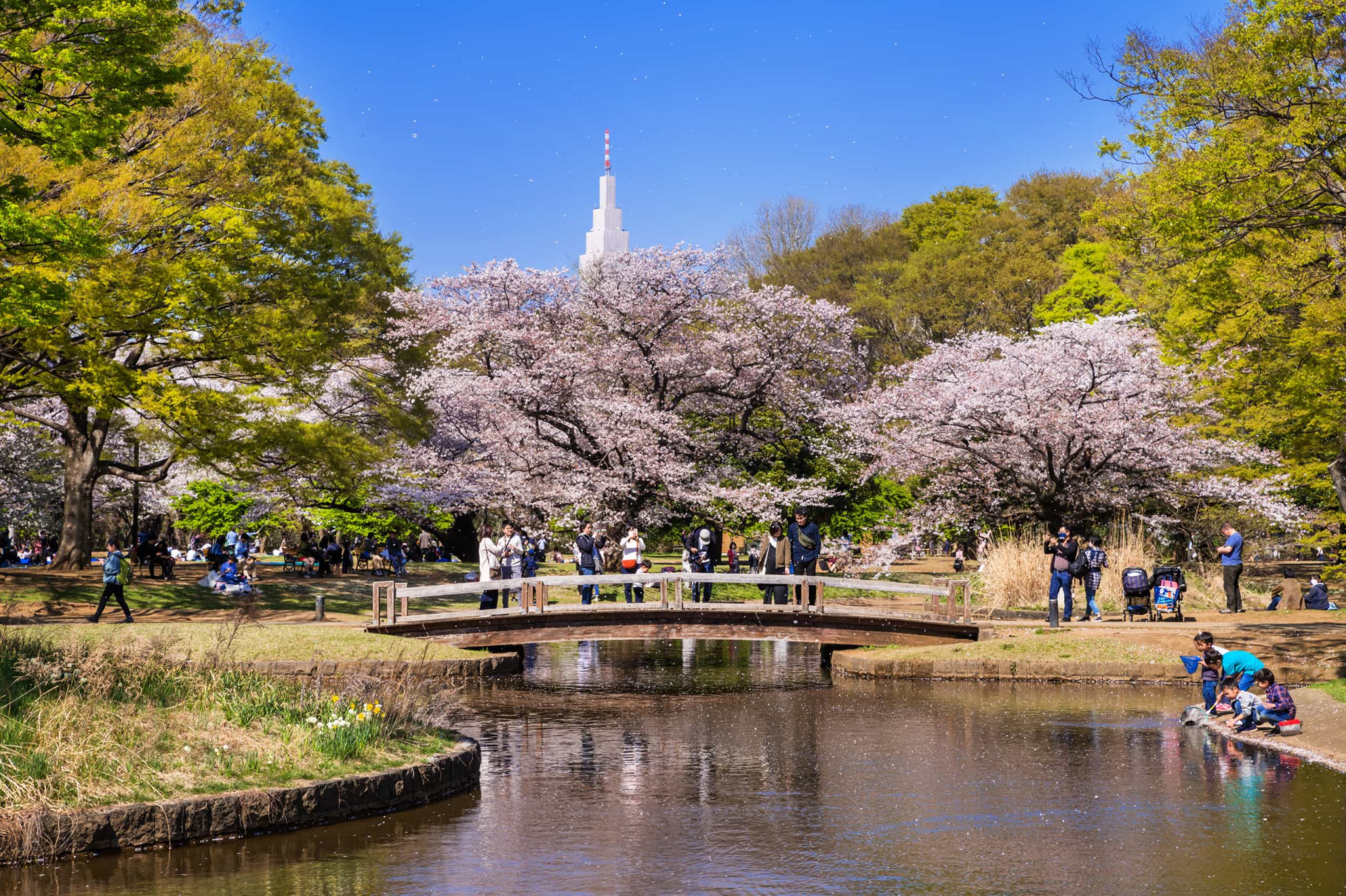 The most beautiful city parks in the world