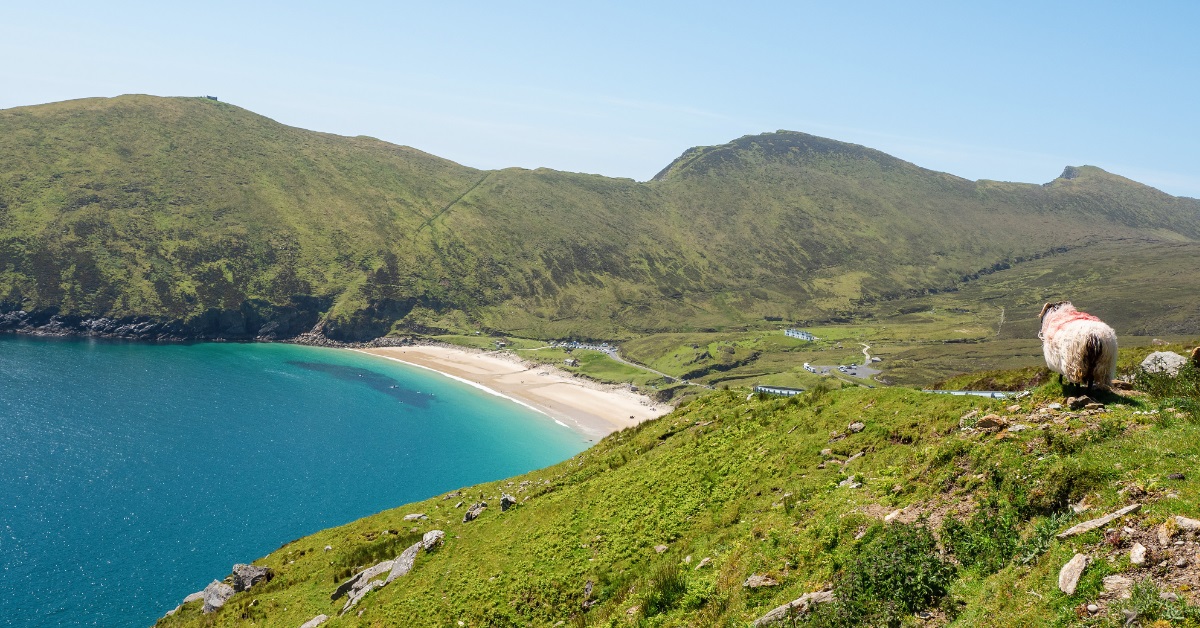 <p> Ireland isn’t exactly known for its beaches, but Keem Strand is regularly cited as one of the most beautiful in the world.  </p> <p> Located along the coast of Achill Island, Keem Bay’s golden shores will draw plenty of beachgoers in the summer.  </p> <p> However, compared to many of the other beaches on this list, Keem Strand isn’t a popular tourist destination. So, visitors can frequently enjoy the stunning views without crowds.  </p>