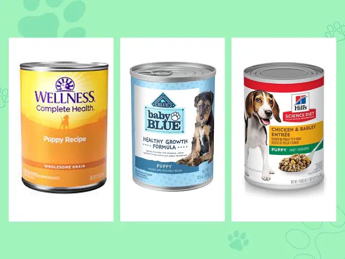 The Best Puppy Foods Of 2024