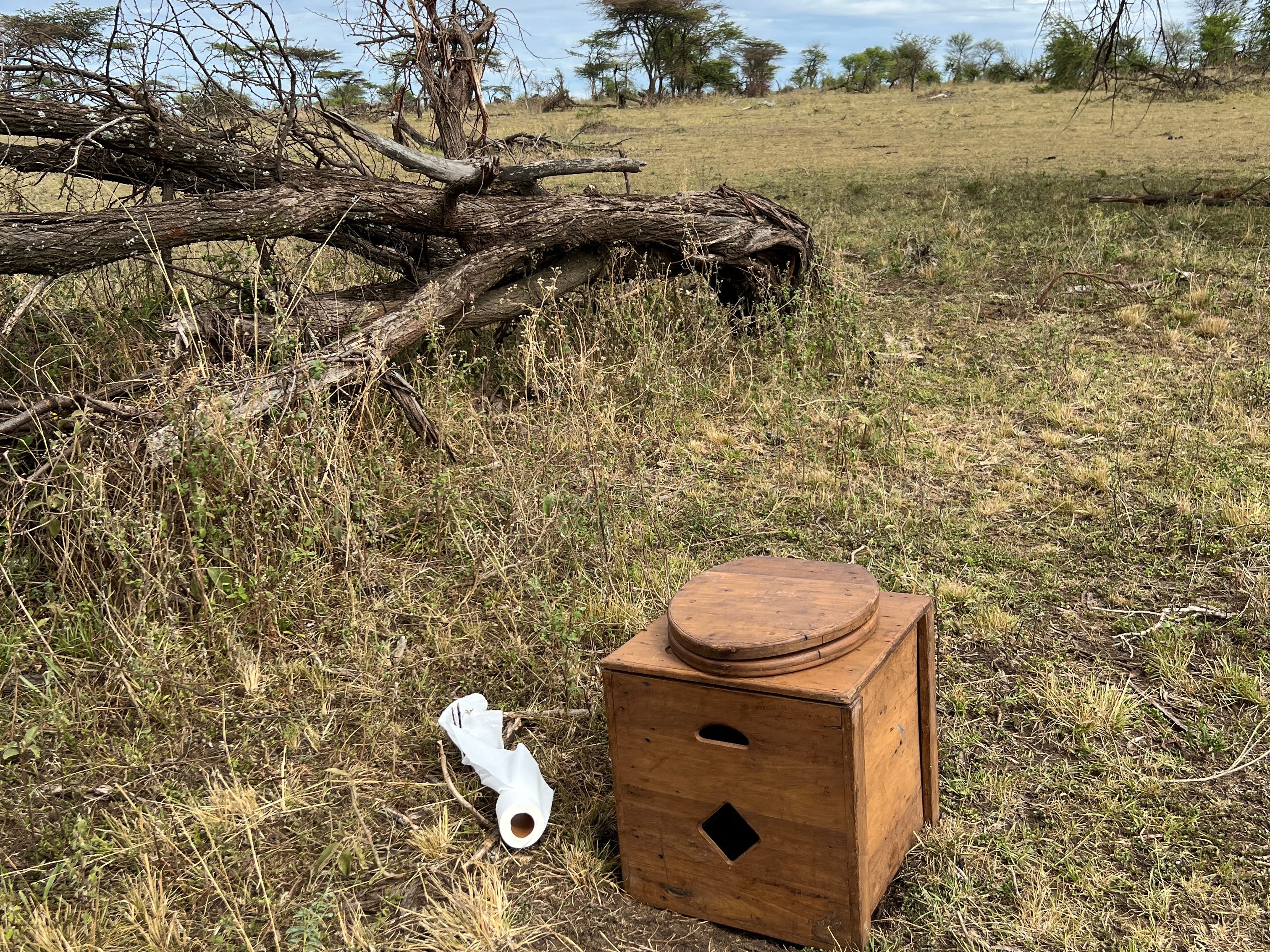 <p>When you're offroading looking for wild animals, you can end up pretty far from a proper toilet.</p><p>On most safari days, the car stops (when guides think it's safe), and people go behind the car to do their business.</p><p>This was the only time we had this portable toilet while out on a safari. On my budget safari day trips at Kruger, we'd have to wait until we reached a rest-stop facility.</p>