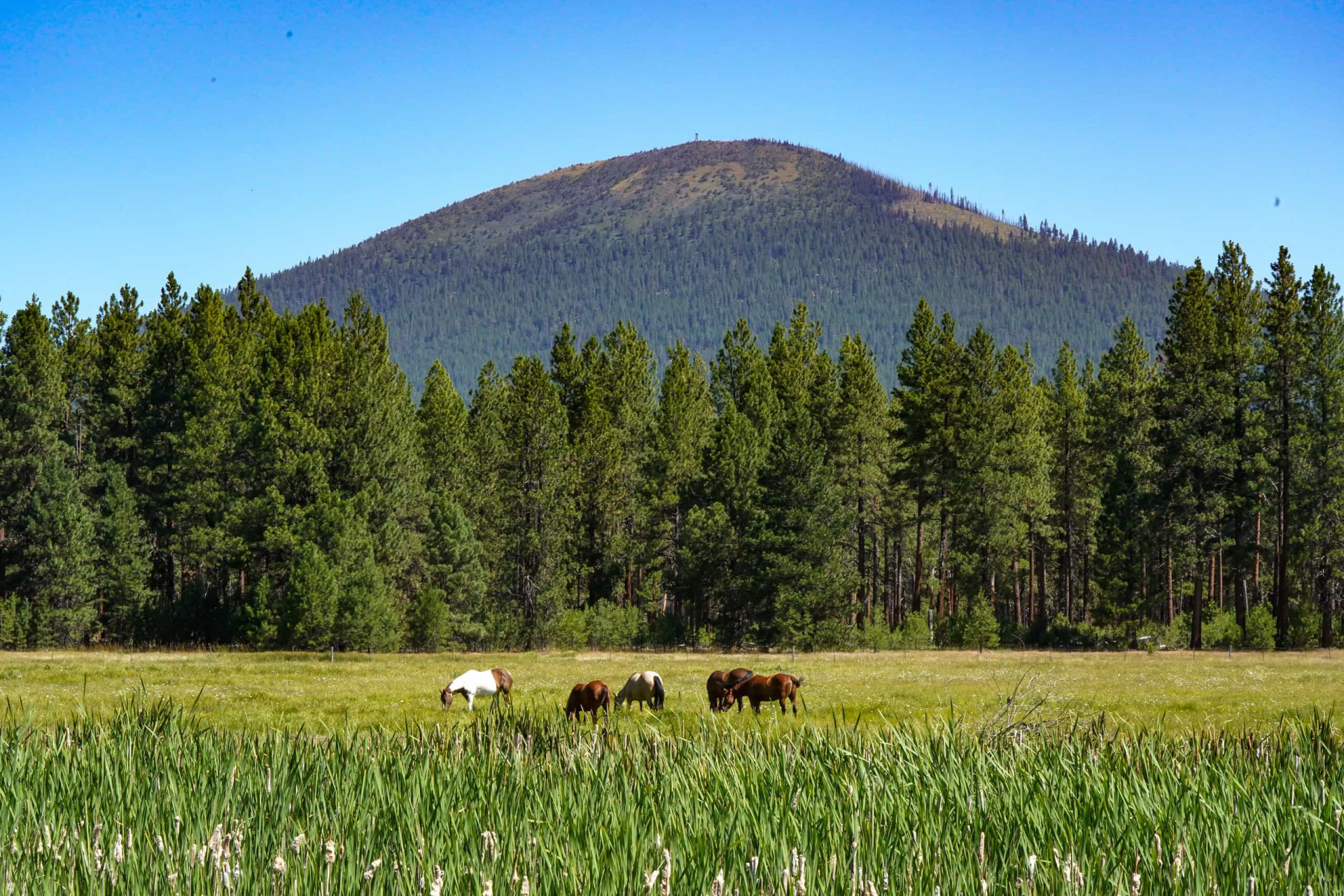 The most beautiful buttes in America