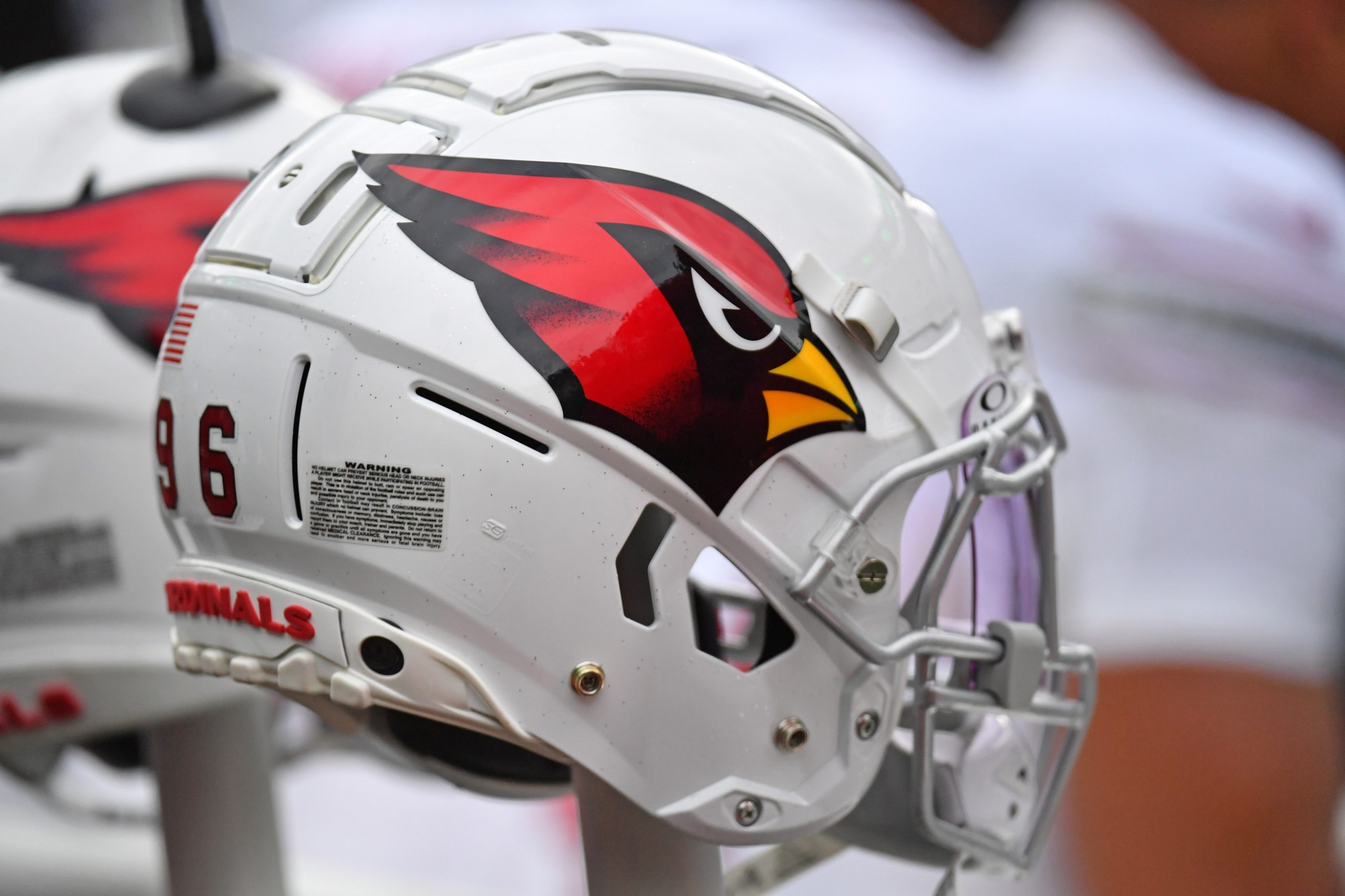 arizona cardinals bring in new quarterback