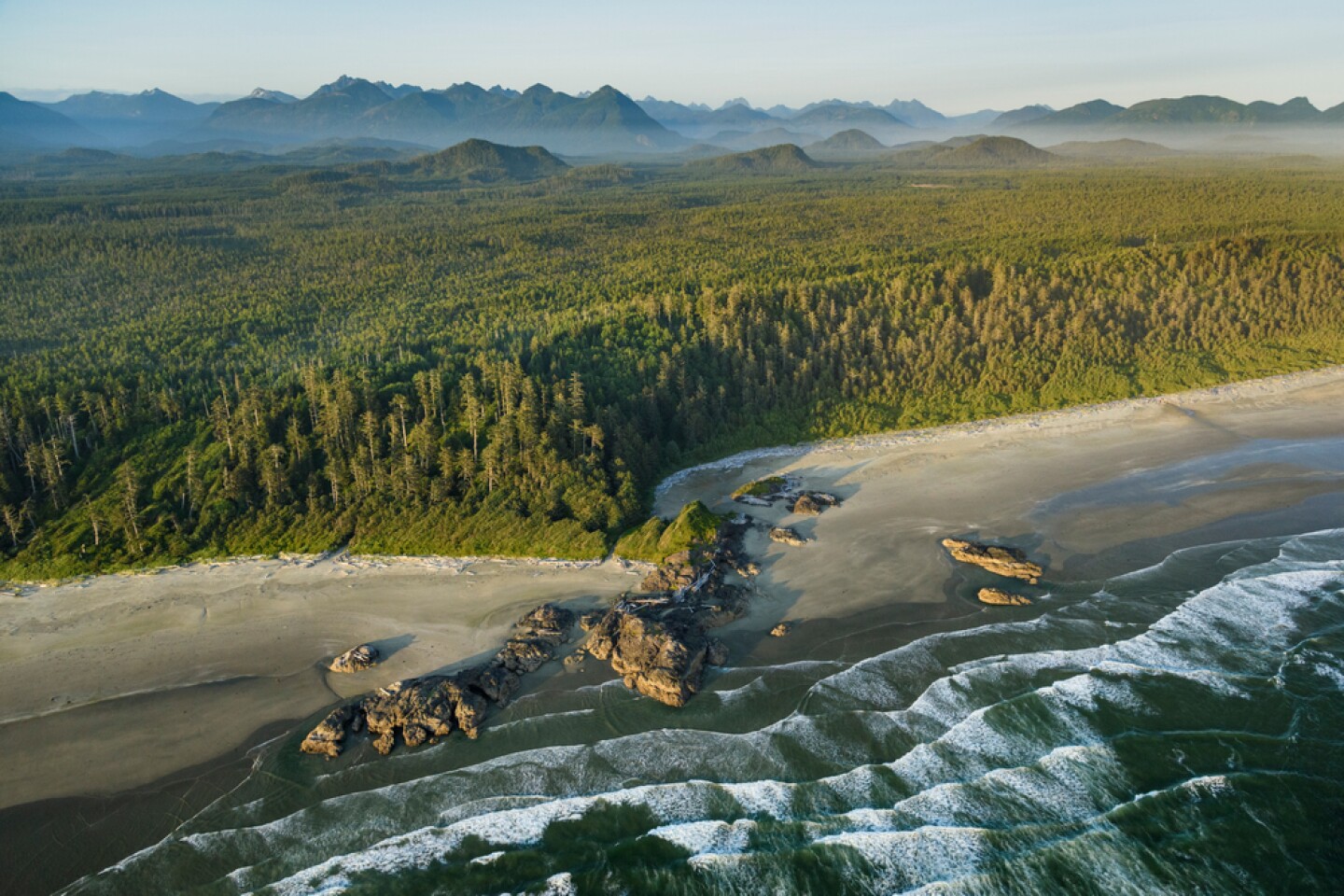 <h2>7. Pacific Rim National Park Reserve</h2> <p><i>British Columbia</i></p> <p><a class="Link" href="https://www.pc.gc.ca/en/pn-np/bc/pacificrim" rel="noopener">Pacific Rim National Park Reserve</a>’s 197 square miles of temperate rain forest showcase the magic that happens when you combine the grandeur of the Pacific Coast with the lowland forests of Vancouver Island. Here, sand dunes and towering trees such as sitka spruce keep Pacific winds from bulldozing the interior, supporting an ever-so-delicate ecosystem home to <a class="Link" href="https://www.pc.gc.ca/en/pn-np/bc/pacificrim/nature/especes-species" rel="noopener">threatened species</a> like the little brown bat and dromedary jumping-slug.</p> <p>The reserve is divided into three parts, and each carries its own unique appeal. Its northernmost section, called Long Beach, is a haven for <a class="Link" href="https://www.pc.gc.ca/en/pn-np/bc/pacificrim/activ/activ9" rel="noopener">surfers</a> year-round. For an experience on calmer waters, head southeast to the Broken Group islands, where kayaks and campers can hop among more than 100 islands, islets, and outcrops. Experienced hikers can take a week traversing the West Coast Trail. This hike travels over more than 100 ladders through its 47 miles as you navigate the coastal cliffs along the Pacific.</p> <h3>How to get to Pacific Rim National Park Reserve</h3> <p>The western side of Vancouver Island is remote, so your best bet is to drive your car to either Nanaimo or Victoria’s ports. If you’re coming from Victoria, drive north along Highway 1 to reach Highway 19 (around Nanaimo). Keep going north for 30 miles until you get to Highway 4, which will take you to the Long Beach section of the park.</p>
