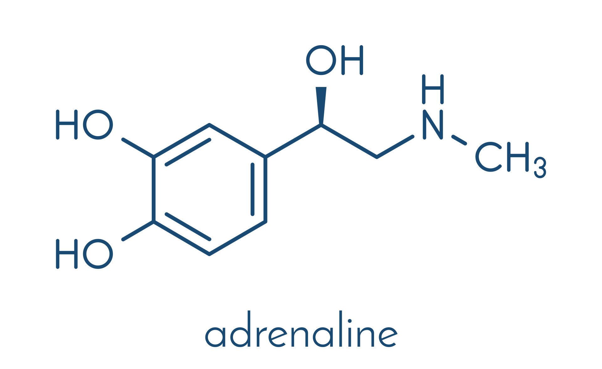 Attraction: adrenaline