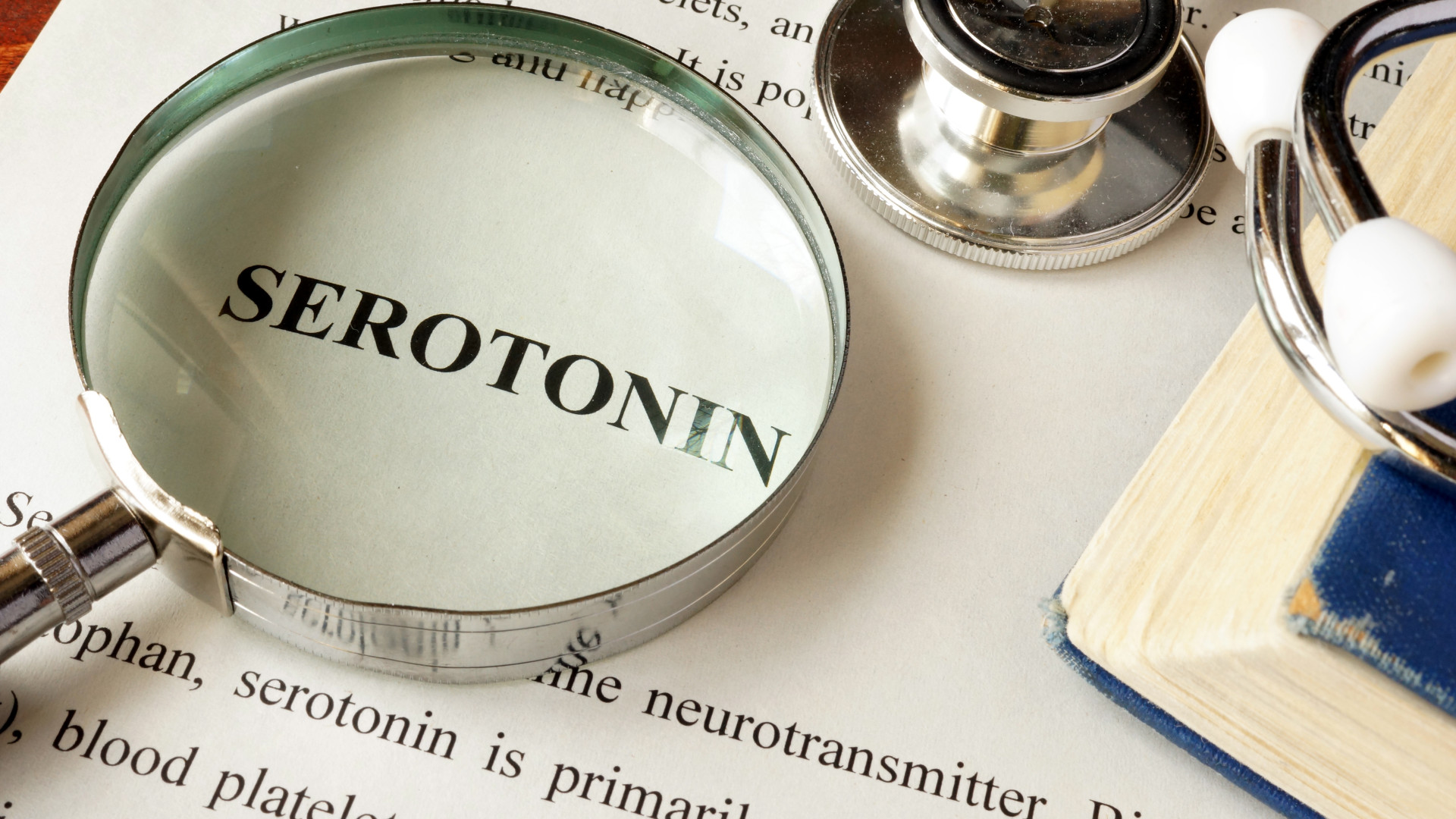 Attraction: serotonin