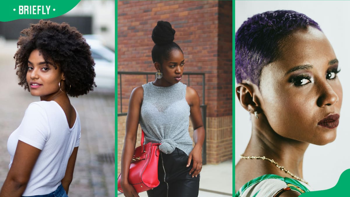 60 Best Hairstyles For Black Women In South Africa In 2024   BB1jTxxD.img