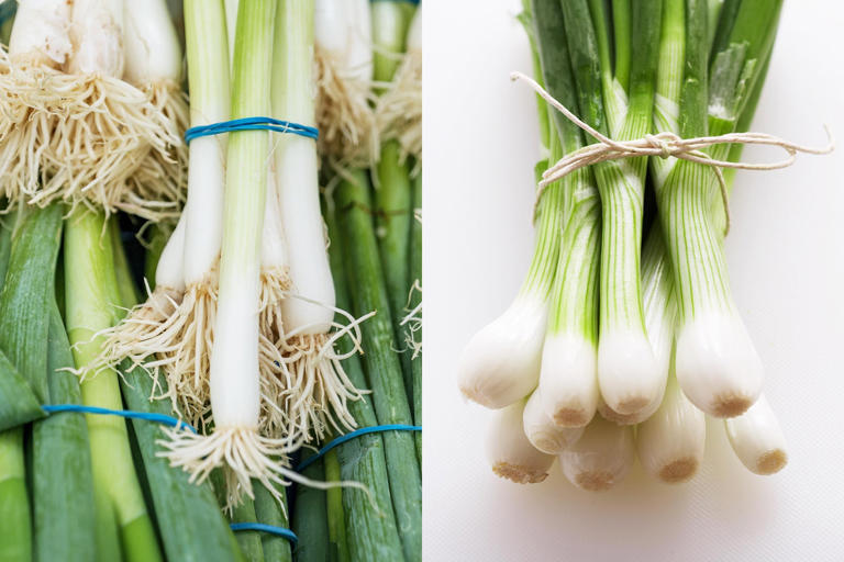 Scallions Vs. Green Onions: What’s The Difference?