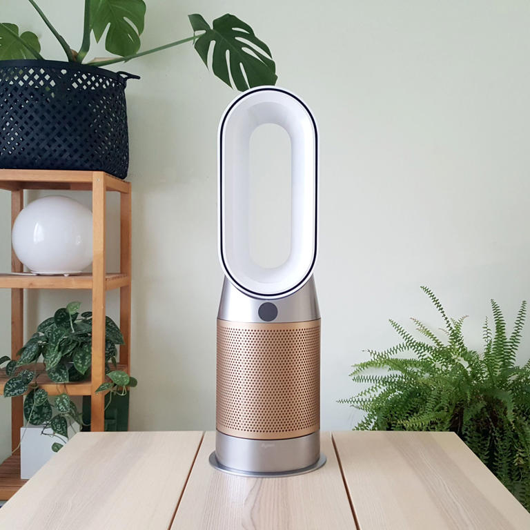 Can an air purifier help with allergies? Yes, but only if you choose