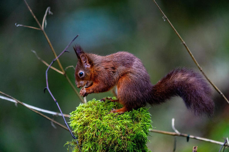 Best Places In Yorkshire To Visit If You Are A Nature And Wildlife Lover