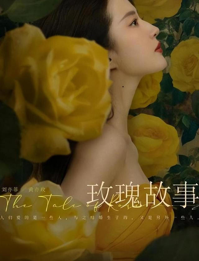 央视首播！刘亦菲主演都市爱情剧《玫瑰故事》，配角阵容强大！