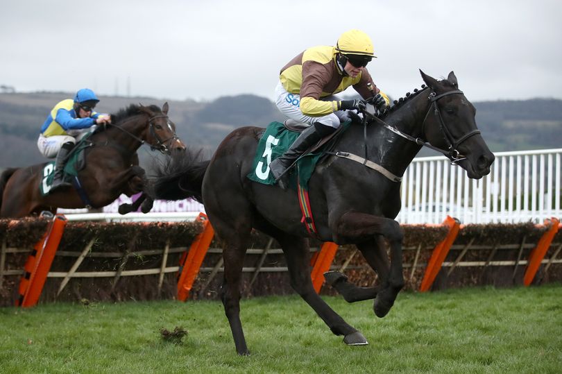 Cheltenham Festival 2024: Gold Cup Betting Preview As Galopin Des ...