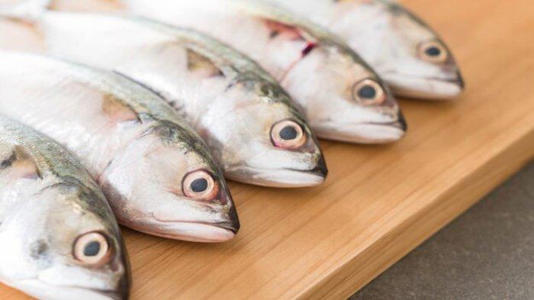Ilustrasi ikan kembung, salah satu jenis ikan yang bagus untuk meningkatkan kecerdasan otak (freepik.com)