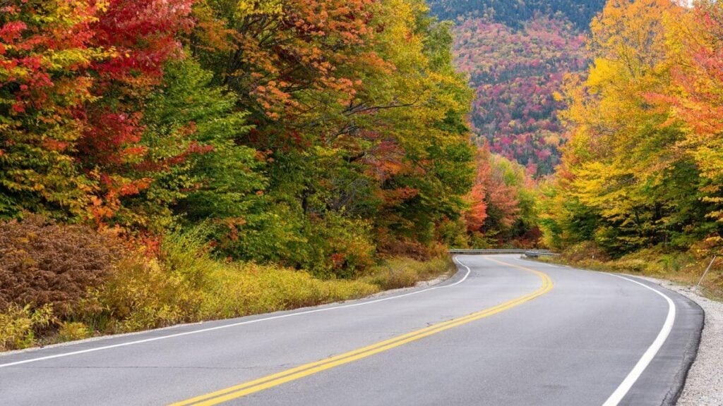 <p>Exploring the 36-mile Kancamagus Highway, which runs from New Hampshire to New England, is the perfect <a href="https://radicalfire.com/fall-activities/" rel="noopener">autumn activity</a>. On the road trip, you’ll see picturesque scenes dominated by yellow, gold, orange, and red foliage. To complete this experience, stop by the White Mountains and follow the Lincoln Woods Trail. </p>