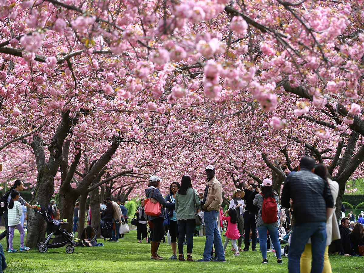 20 Beautiful Botanical Gardens In The U.s.