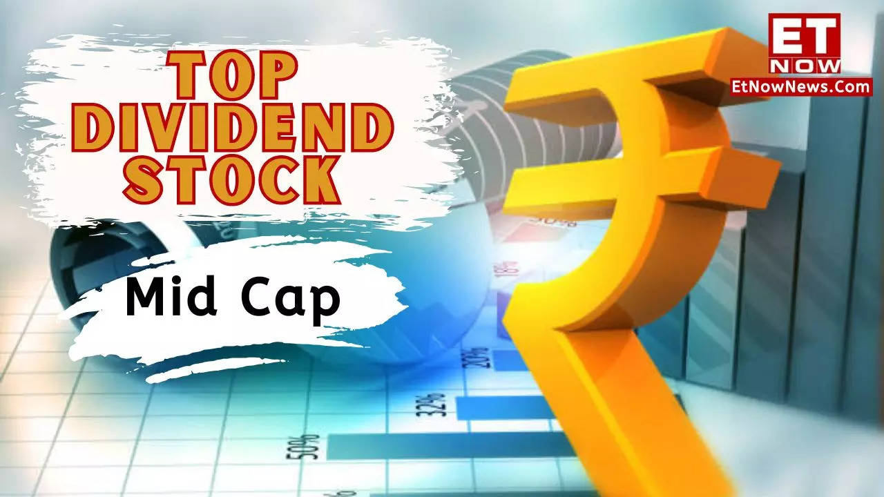 Top Dividend Stocks 2024: Mid Cap - 15 Companies With Highest Dividend ...