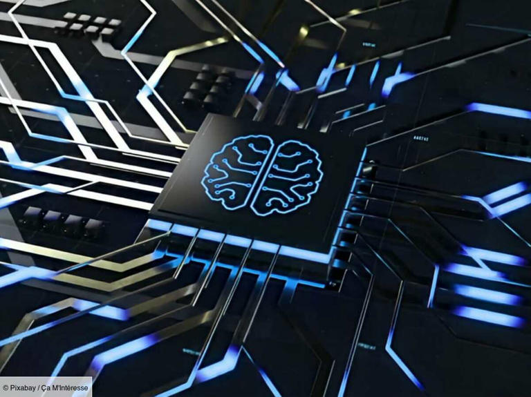 Innovation : cet ordinateur a été créé à partir de bouts de cerveau humain