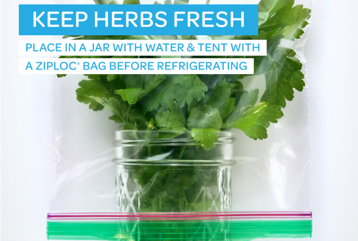 <p>Freshly cut herbs can add flavor and nutrition to any meal but can wilt and spoil quickly. However, an effective way to extend their shelf life is to store them in damp paper towels inside Ziploc bags. Using this strategy helps to retain moisture and minimize wilting, keeping your herbs fresher for longer in the refrigerator.</p>