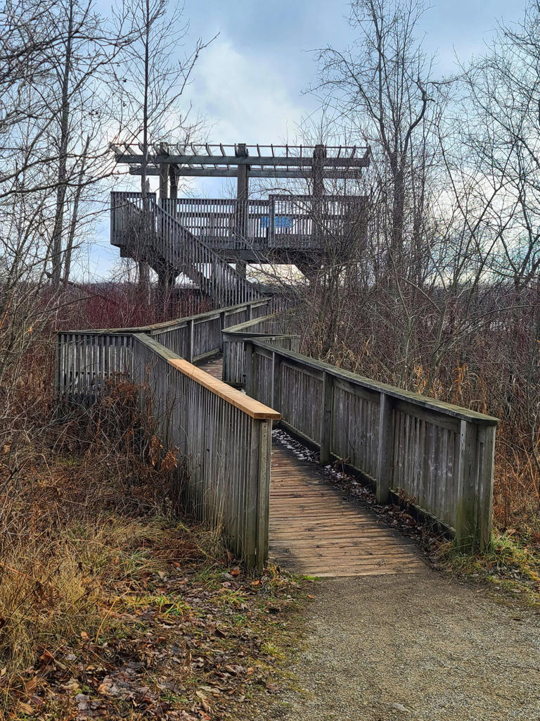 MacGregor Point Provincial Park