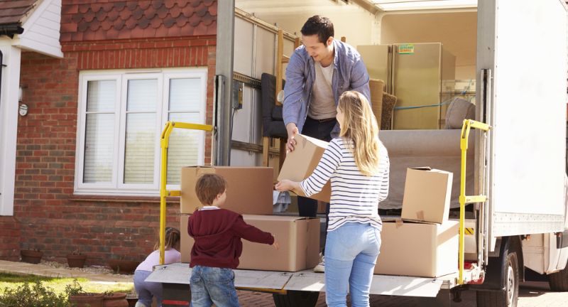 <p>Renting moving trucks or using moving services can introduce bed bugs into your belongings, especially if the vehicle previously transported infested items. These pests can easily hide in boxes and furniture during the move.</p>