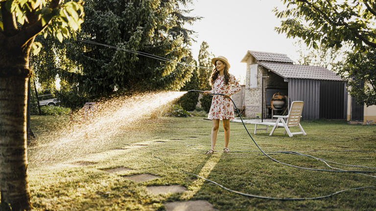 Is It Okay To Water Your Lawn Right After Mowing?