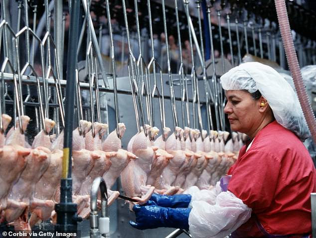 Tyson Foods BOYCOTTED As It Sacks 1,300 Staff At Iowa Pork Plant And ...