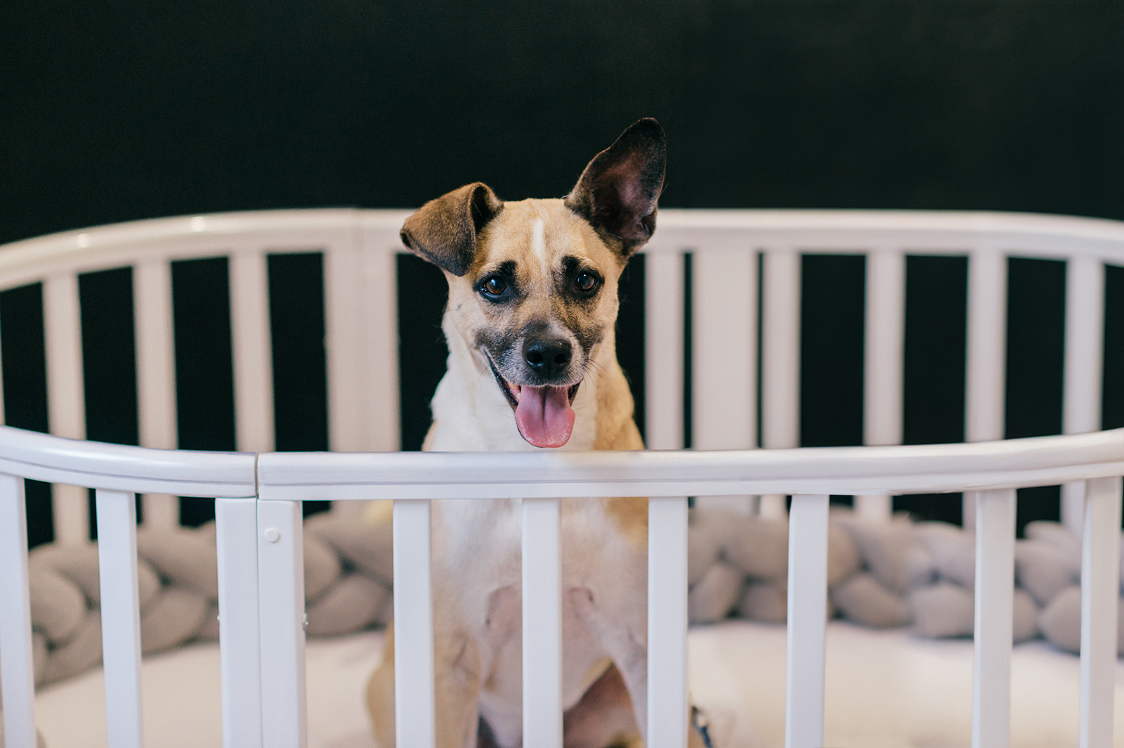 15 Brilliant Repurposing Ideas for Old Junk