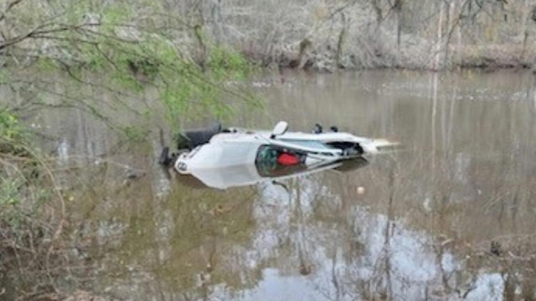 UGA students help save 3 after car goes into Brier Creek