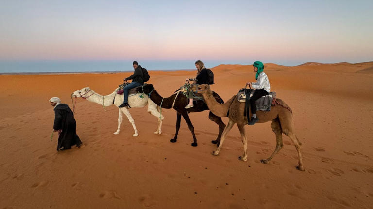 The camel ride on Intrepid's Morocco family holiday was a memorable highlight for my kids.