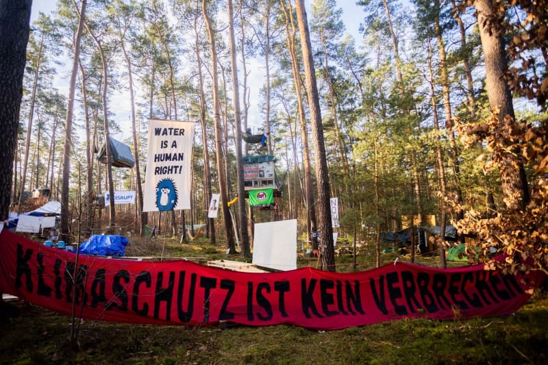 Anti-Tesla Forest Protesters Want To Take Legal Action To Stay