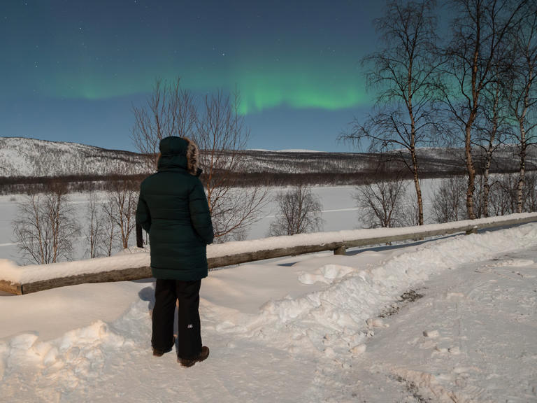 I traveled beyond the Arctic Circle to see the Northern Lights. Here are 4 things to know before you go.