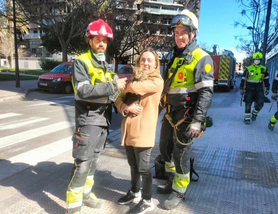 el milagro de coco, el gato rescatado por los bomberos que ha sobrevivido al incendio de valencia