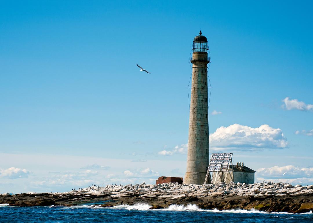 <p>- Address: York, Maine, 03909<br> - Want to visit votes on Atlas Obscura: 923<br> - Been here votes on Atlas Obscura: 153<br> - Rarity ratio: 6.0</p>  <p>It makes sense that a lighthouse would be built on an island that's proven treacherous for sea vessels. It's clearly where a guiding light is needed most. But the tallest lighthouse in New England—<a href="https://www.atlasobscura.com/places/boon-island-light">Boon Island Light</a>—was established on a site of a shipwreck so tragic the only way the survivors made it out alive was by<a href="https://www.seacoastonline.com/story/news/2010/12/01/historians-to-mark-300th-anniversary/51361011007/"> eating their ill-fated fellow sailors' dead bodies</a>. While you can see Boon Island Light from afar from the shore, the truly brave board a boat to get a closer view. As it's a working lighthouse, no interior access is currently available.</p>