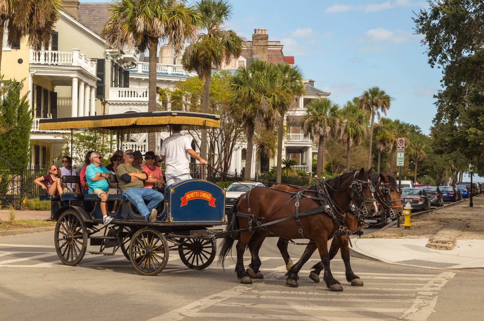 <p>Charleston offers a plethora of attractions. A Charleston Tour Pass is a convenient way to access all the top tours and attractions, including Fort Sumter Tours, Carriage Tours, and Waterfront Park.</p> <p><b>Fellow Traveler Tip: </b>The Free Historic Trolley can make navigating the city a breeze for those unable to explore entirely on foot. Parking at the Visitor Center Parking Garage or City Market Parking Garages provides convenient options.</p>